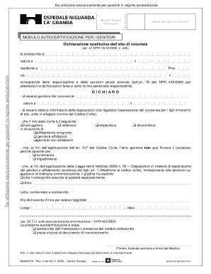 Medical Consent Form for Minors