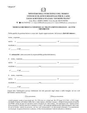 Allegato E Consent Form