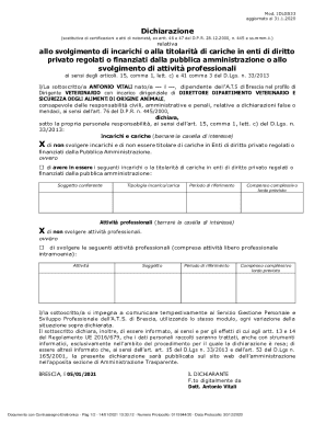 Italian Declaration of Private Entities and Professional Activities