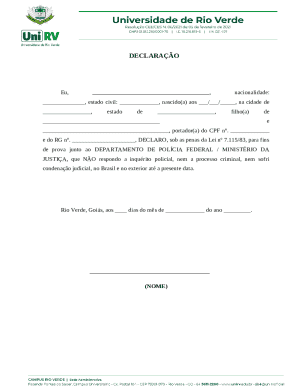 Brazil Declaration of No Criminal Record