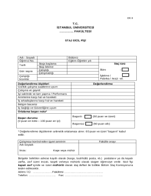 University Internship Record Form