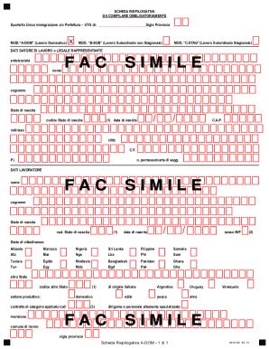 Italian Domestic Work Permit Application Form