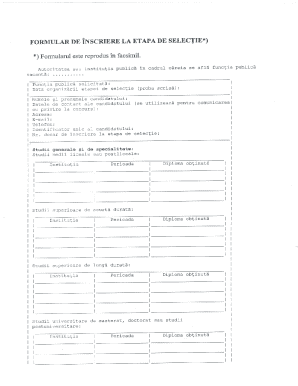 Romanian Public Sector Job Application Form