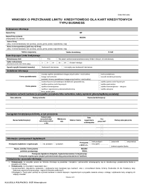 Business Credit Card Limit Application
