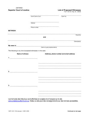 Ontario Superior Court Form 13A