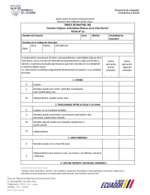 Barthel Index Form