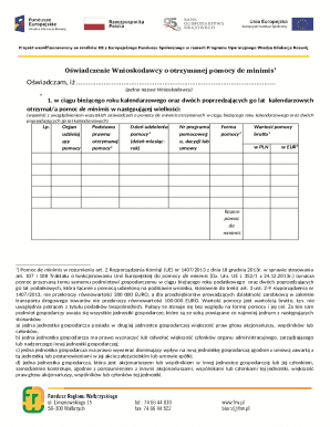 De Minimis Aid Declaration Form