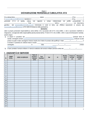 Dichiarazione Personale Cumulativa ATA