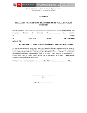 Peru Criminal Record Declaration