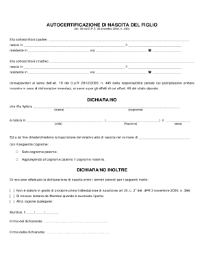 Italy Birth Certificate Declaration