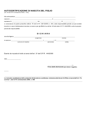 Italy Birth Certificate Declaration