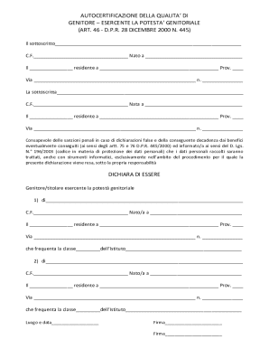 Italian Parental Authority Certification Form