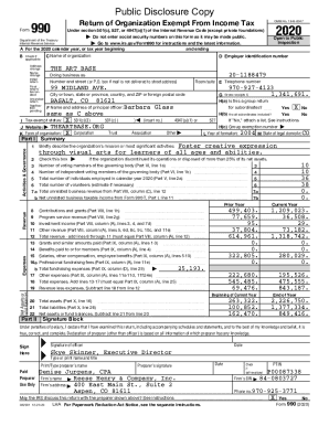 IRS Form 990 2020