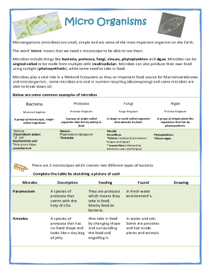 Microorganisms Study Guide
