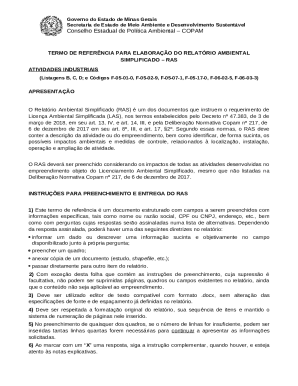 Minas Gerais Environmental Simplified Report Template