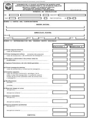 Buenos Aires Annual Tax Declaration Form