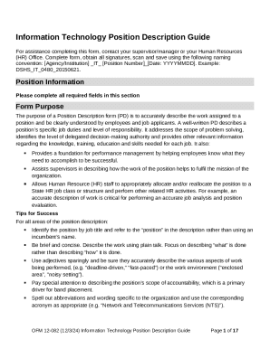 Information Technology Position Description Guide