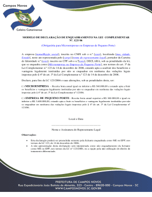 Brazilian Microenterprise or Small Business Declaration Form
