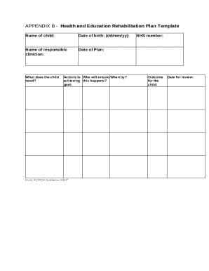 Health and Education Rehabilitation Plan Template