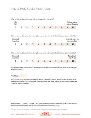 PEG-3 Pain Screening Tool