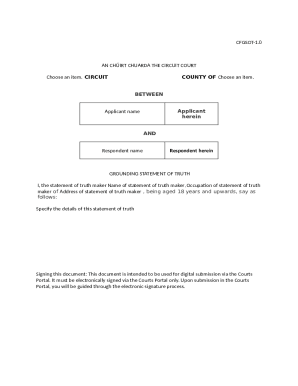 Circuit Court Statement of Truth