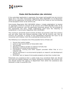EU De Minimis State Aid Declaration Form