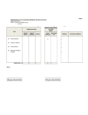 Mexico Public Sector Budget Summary Form