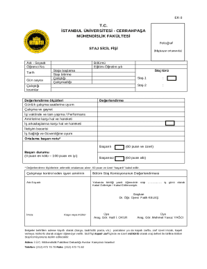 University Internship Record Form