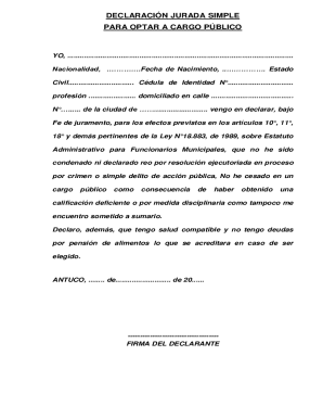 Simple Affidavit for Public Office