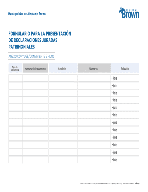 Almirante Brown Asset Declaration Form