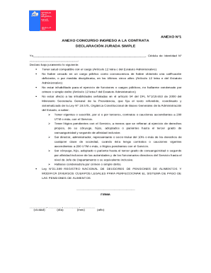 Chile Public Service Employment Declaration