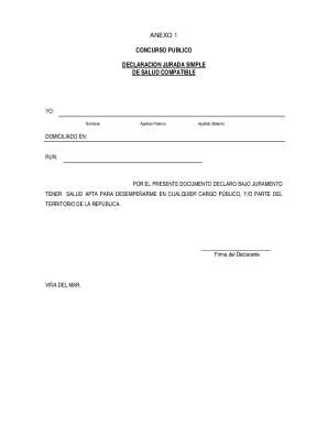 Chile Public Office Declaration Form