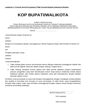Civil Servant Disciplinary Declaration Form