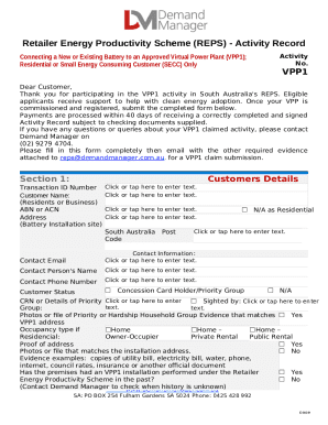 REPS Activity Record for VPP1 Connection