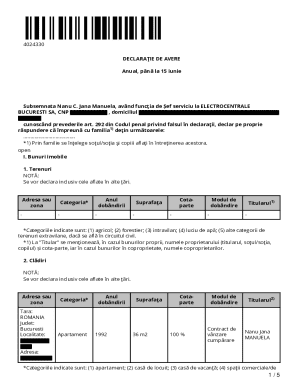 Romanian Annual Asset Declaration Form