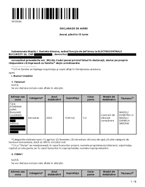 Romanian Annual Asset Declaration Form