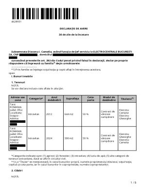 Romanian Asset Declaration Form