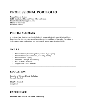 Professional Portfolio Template