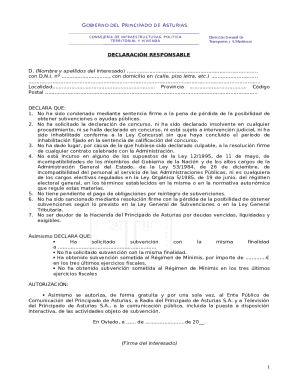 Asturias Declaration of Responsibility