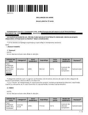 Romania Annual Asset Declaration Form