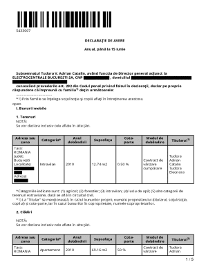 Romanian Annual Asset Declaration Form