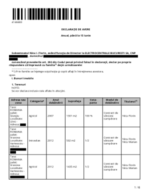 Romania Annual Asset Declaration Form