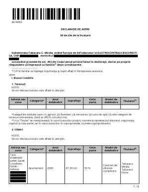 Romania Asset Declaration Form