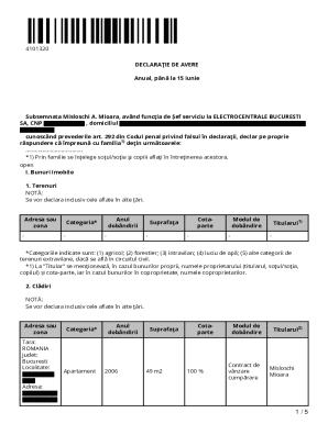 Romanian Asset Declaration Form