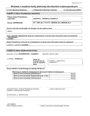 Visa Business Debit Card Application