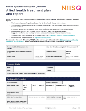 NIISQ Allied Health Treatment Plan and Report