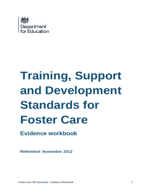Foster Care Evidence Workbook