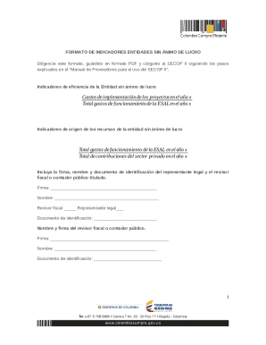 Non-Profit Entity Indicators Form