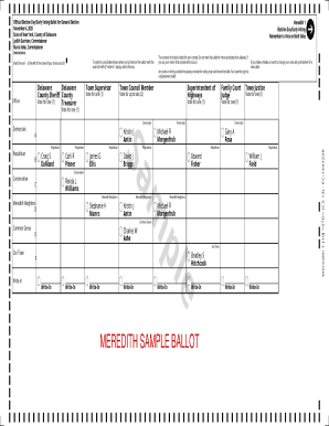 New York General Election Ballot