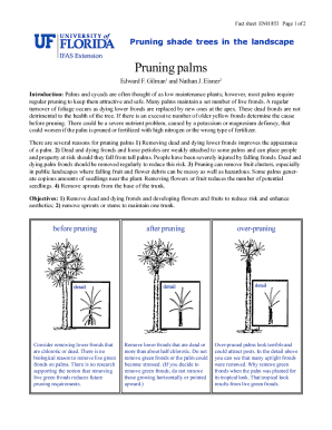 California Lease Agreement